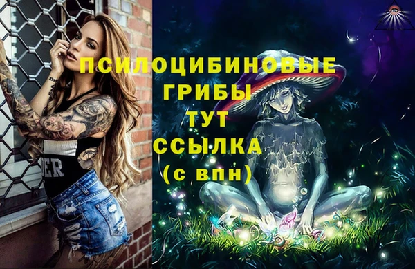 крисы Белокуриха