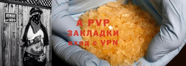 крисы Белокуриха